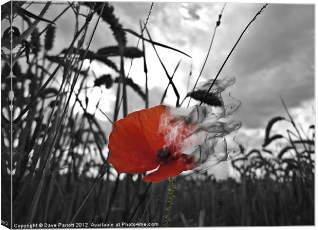 War Poppy - Burning Canvas Print by Daves Photography