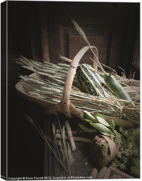 Harvest Time Canvas Print by Daves Photography