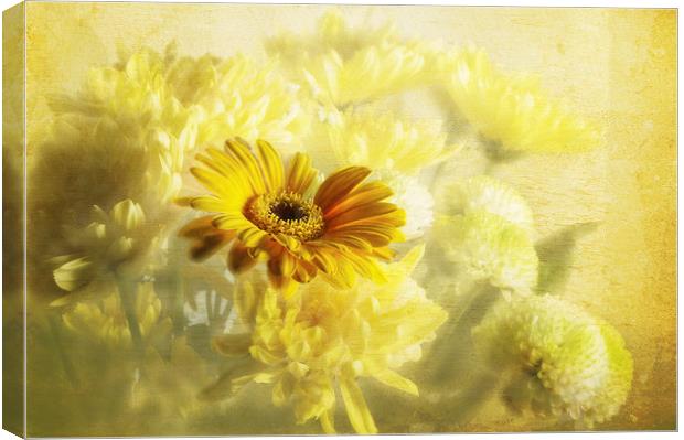 Flowers Canvas Print by Daves Photography