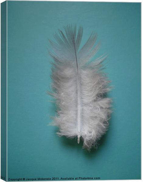 FEATHER Canvas Print by Jacque Mckenzie
