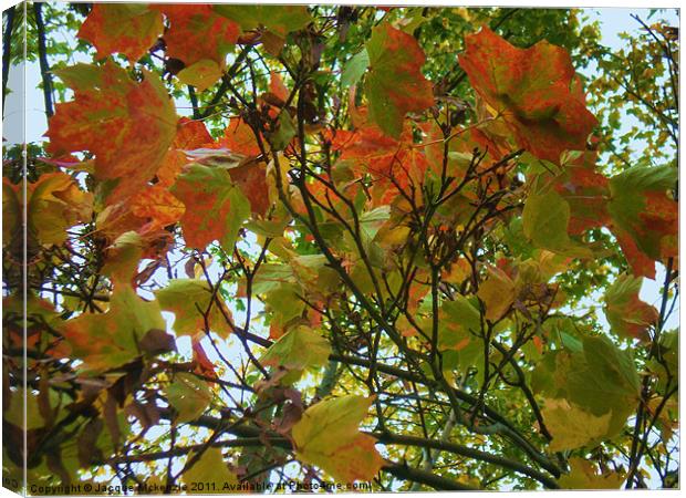 AUTUMN GLOW Canvas Print by Jacque Mckenzie