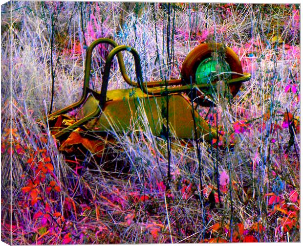 WHEELBARROW BURST Canvas Print by Jacque Mckenzie