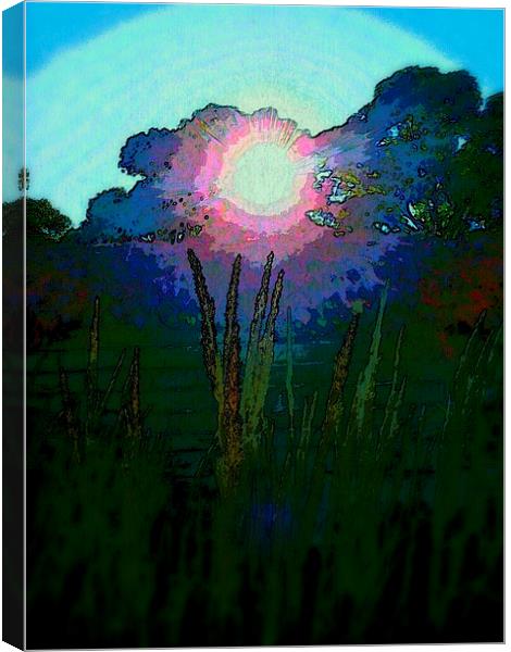 PINK SUNSHINE Canvas Print by Jacque Mckenzie