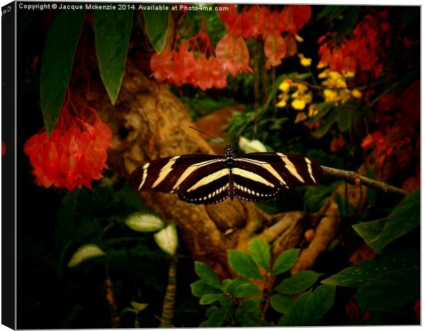  FAIRY TALE BUTTERFLY Canvas Print by Jacque Mckenzie