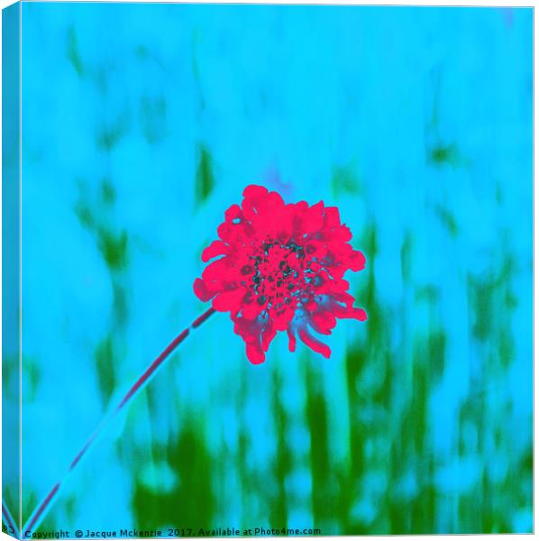 THE RED FLOWER Canvas Print by Jacque Mckenzie