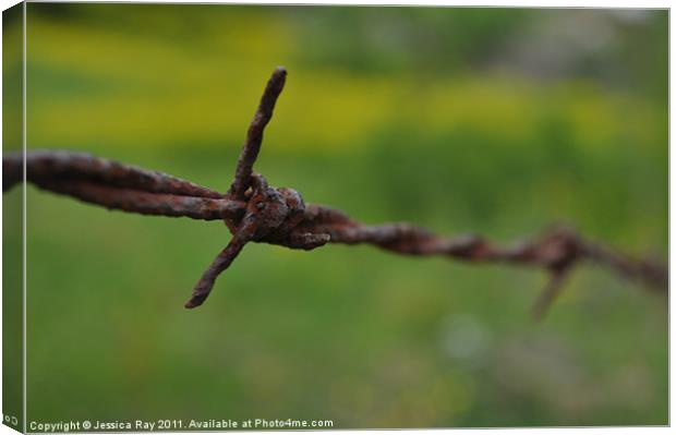 Barbed Wire Canvas Print by Jessica Ray