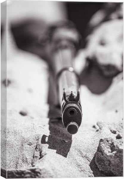 The Lee Enfield rifle  Canvas Print by Images of Devon