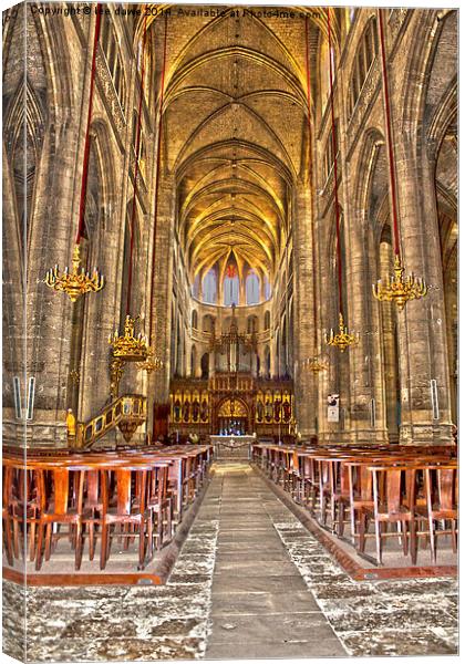  Auch Cathedral, France Canvas Print by Images of Devon