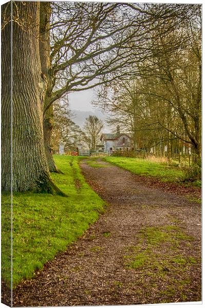  Winding Lane Canvas Print by Images of Devon