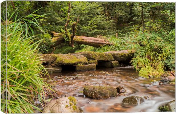 Tarr Steps, Exmoor Canvas Print by Images of Devon