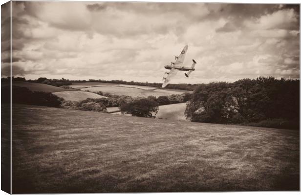 Final Approach Canvas Print by Images of Devon
