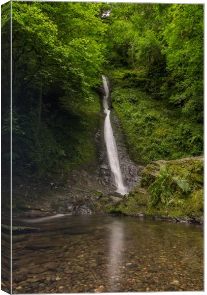 The White Lady, Lydford Gorge Canvas Print by Images of Devon