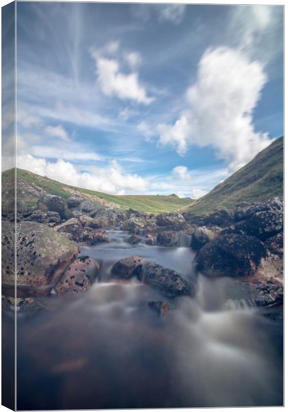 Tavy Cleave Dartmoor Canvas Print by Images of Devon