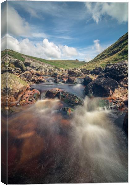 Rushing Waters Canvas Print by Images of Devon