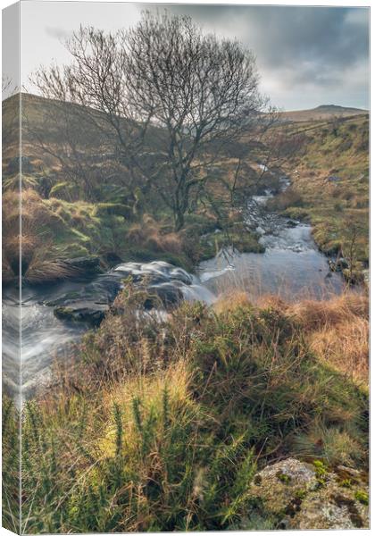 Black Tor Waterfall Canvas Print by Images of Devon