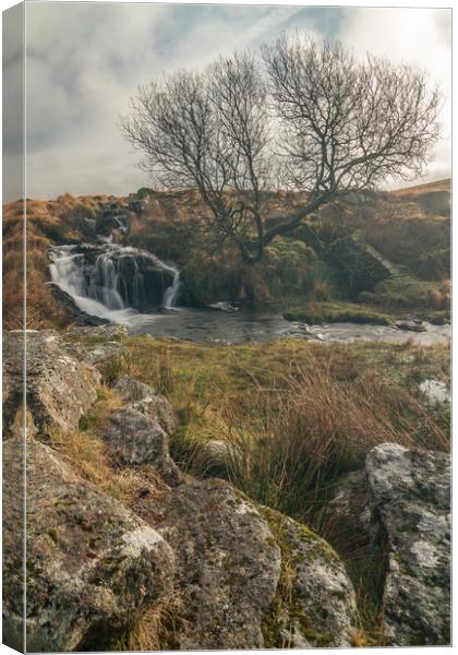 Black tor falls Canvas Print by Images of Devon