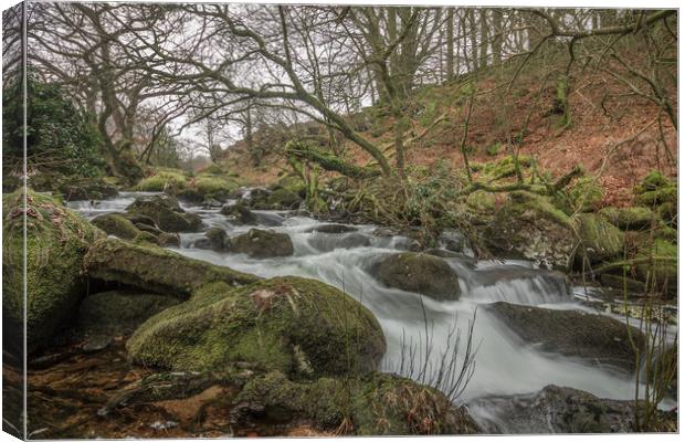 River Taw below Belstone Canvas Print by Images of Devon