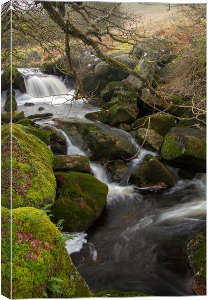 River Okement waterfall Canvas Print by Images of Devon