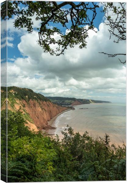 Looking out to Sidmouth Canvas Print by Images of Devon