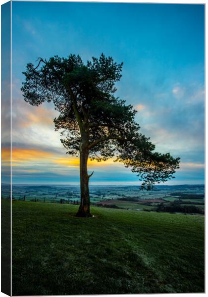 Raddon Hill Sunrise Canvas Print by Images of Devon