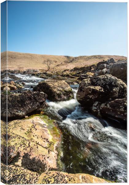 The River Tavy, Dartmoor Canvas Print by Images of Devon