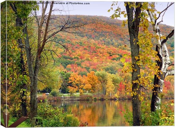 Fall colors Canvas Print by Donna Duclos