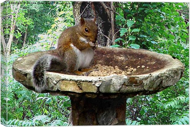 Breakfast Time! Canvas Print by Donna Duclos