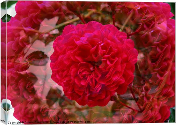 Illusion Rose Canvas Print by Donna Duclos