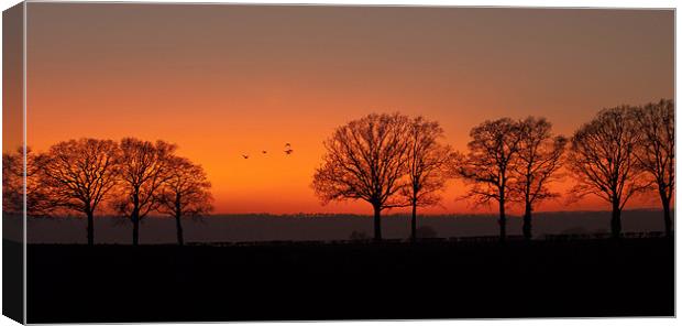 Sunset Little Marcle Canvas Print by Ian Collins