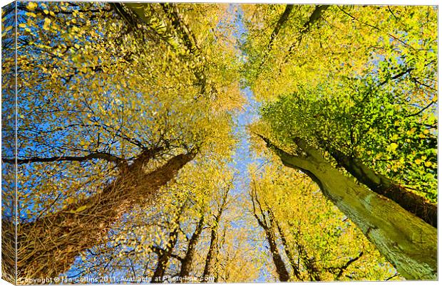 Autumn Sky Canvas Print by Ian Collins