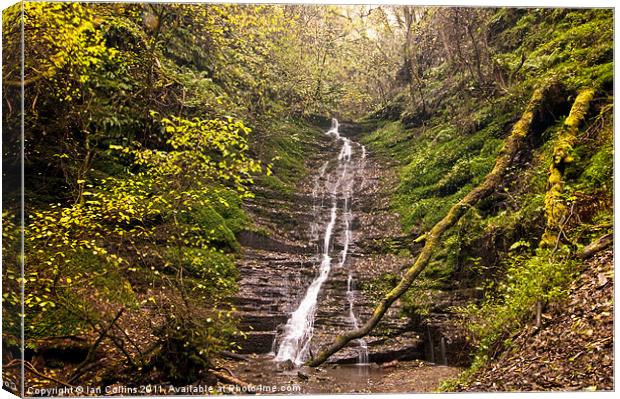 Radnor Forest Waterfall Canvas Print by Ian Collins