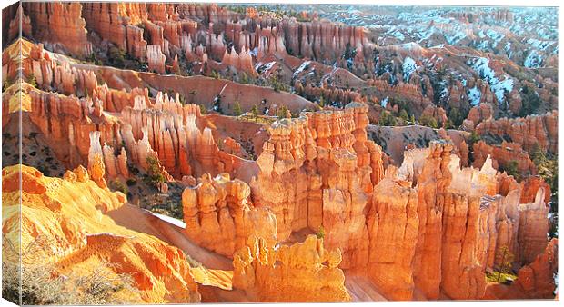 Bryce Canyon National Park Canvas Print by Ian Collins
