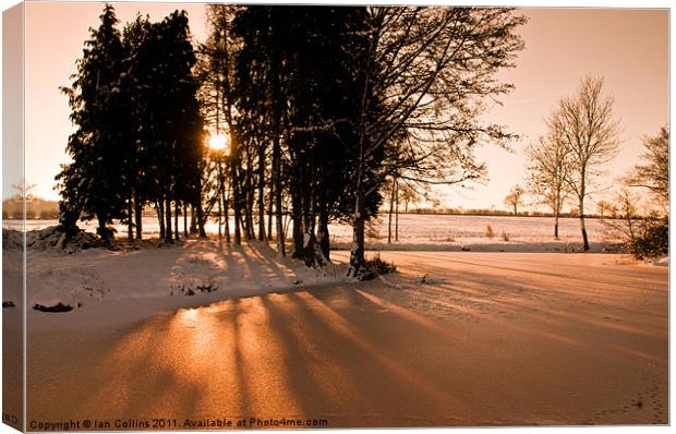 Winters Shadows Canvas Print by Ian Collins