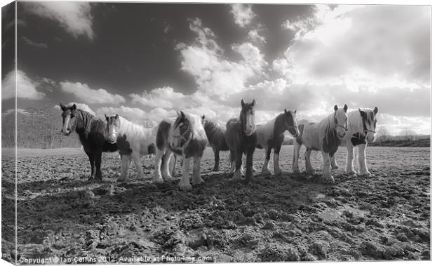 The Magnificent Seven Canvas Print by Ian Collins