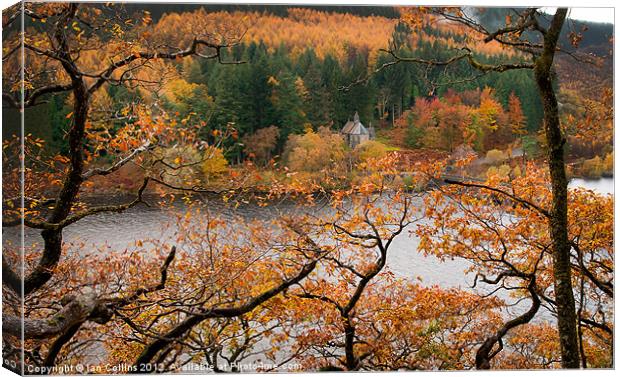 Elan Valley Autumn Colours Canvas Print by Ian Collins