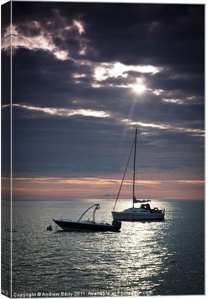 Lonely Boats at Torcross Canvas Print by Andrew Berry