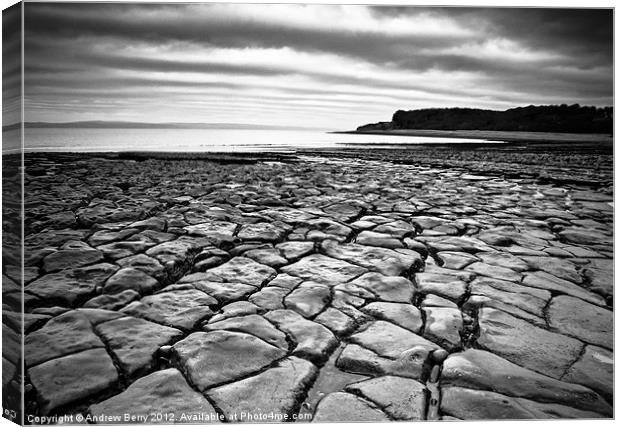 Seascape at Cold Knapp, South Wales Canvas Print by Andrew Berry