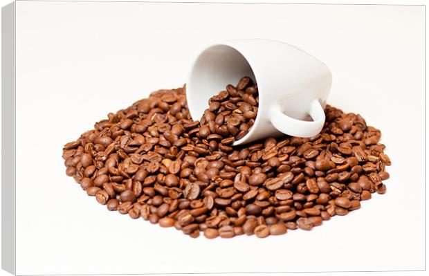 Coffee Beans in a White Mug Canvas Print by Andrew Berry