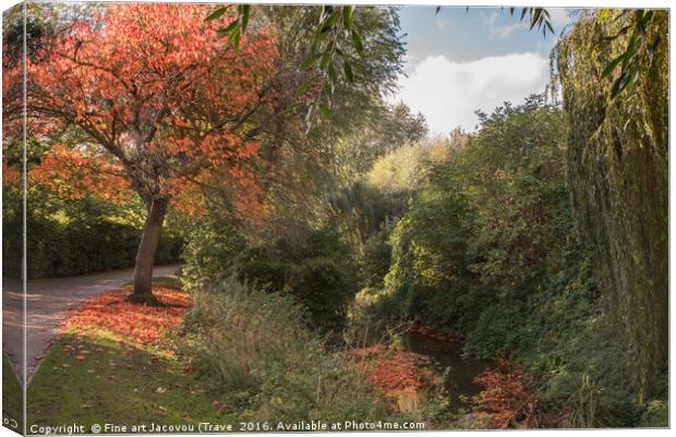 Welham autumn colours  Canvas Print by Jack Jacovou Travellingjour