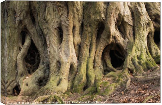 Scary tree roots  Canvas Print by Jack Jacovou Travellingjour