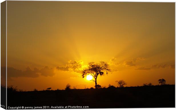 Tsavo sunset Canvas Print by penny james