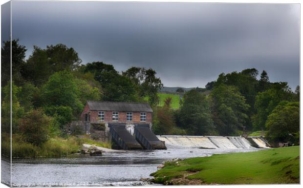 Hydroelectric station  at Linton falls with weir Canvas Print by Angela Wallace