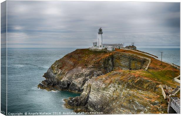 South Stack cliffs and lighthouse Canvas Print by Angela Wallace