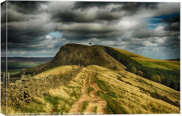 Path to Back Tor Canvas Print by Angela Wallace