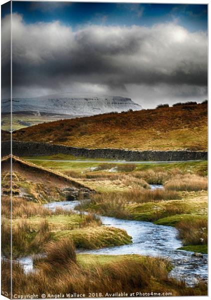 Pen-y-ghent Canvas Print by Angela Wallace