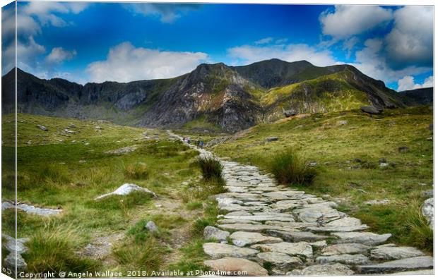 The Walk Cwm Idwal Canvas Print by Angela Wallace