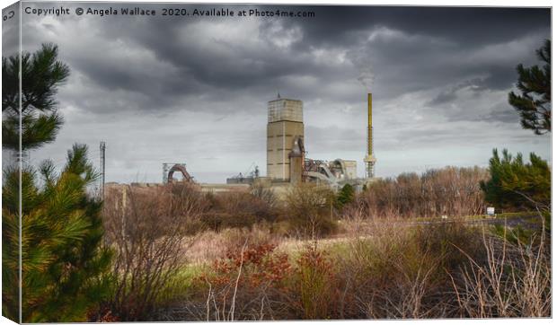 Cement plant Dunbar colour popped Canvas Print by Angela Wallace