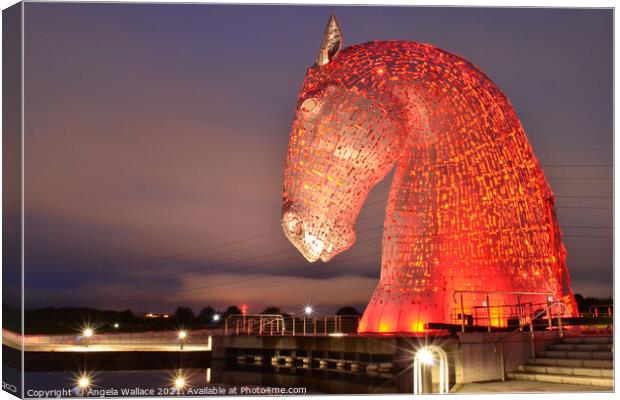 Kelpie with reflections Canvas Print by Angela Wallace