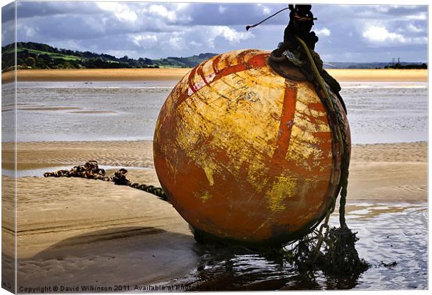 Mooring Buoy Canvas Print by Dave Wilkinson North Devon Ph