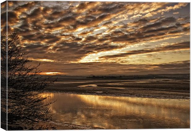 Low Tide on the Tarka Trail Canvas Print by Dave Wilkinson North Devon Ph